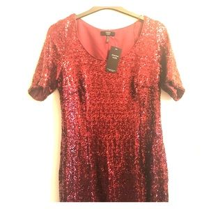 Fully Lined Short Sleeve Sequined Dress